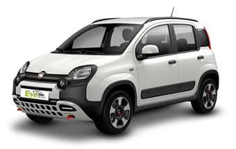 Fiat Panda (Group B)